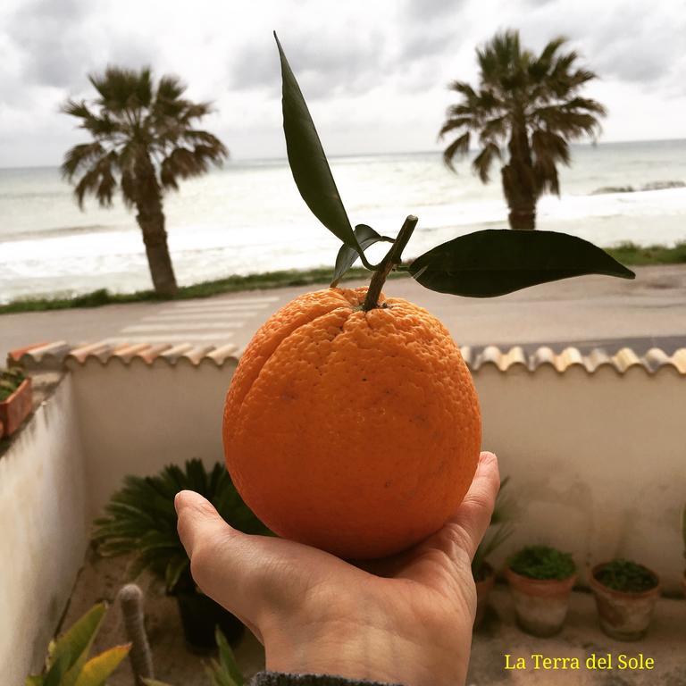 شقة Terra Del Sole ريبيرا المظهر الخارجي الصورة